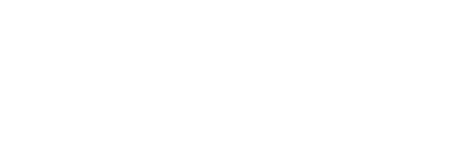 netsigner logo